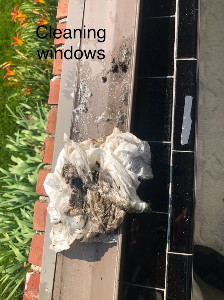 Cleaning Services in Billerica, MA (1)